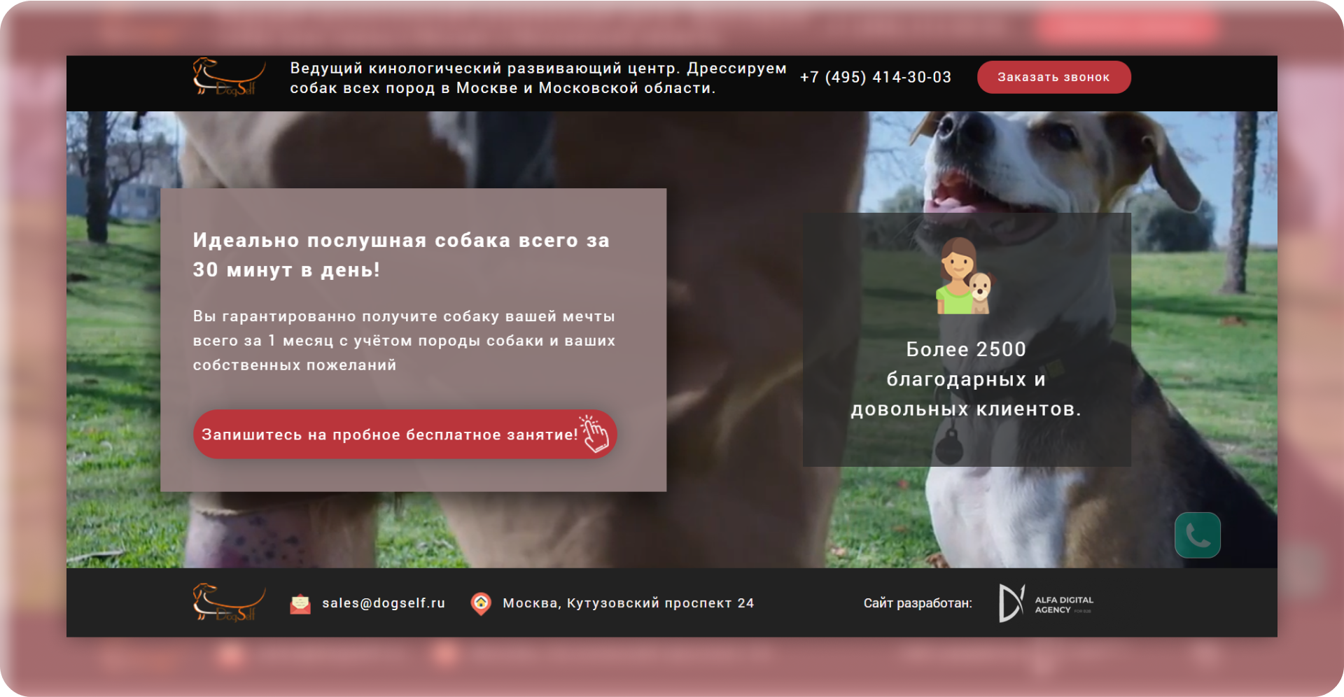 Курсы дрессировки собак Курсы дрессировки собак